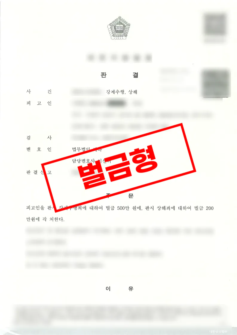 강제추행 및 상해 혐의 구속영장 청구 사건에서 벌금형이 선고된 사례